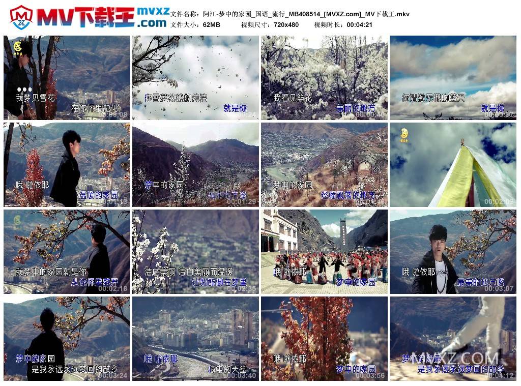 阿江-梦中的家园_国语_流行_MB408514